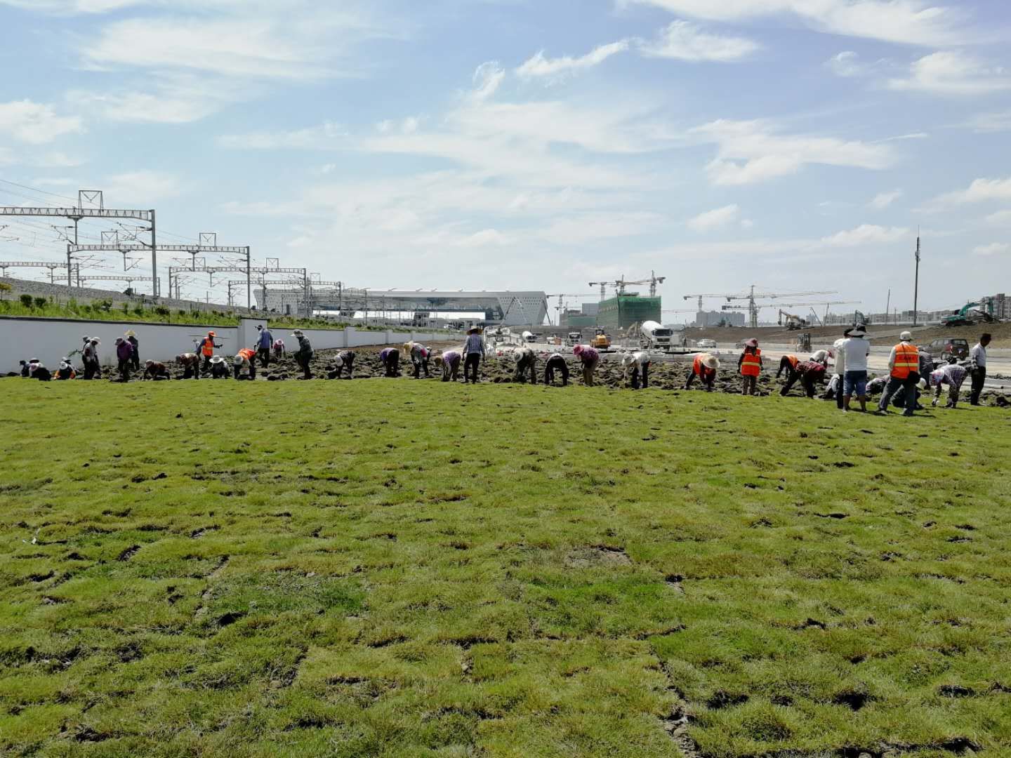 微信图片_20200724172158.jpg 微信图片_20200724172158.jpg