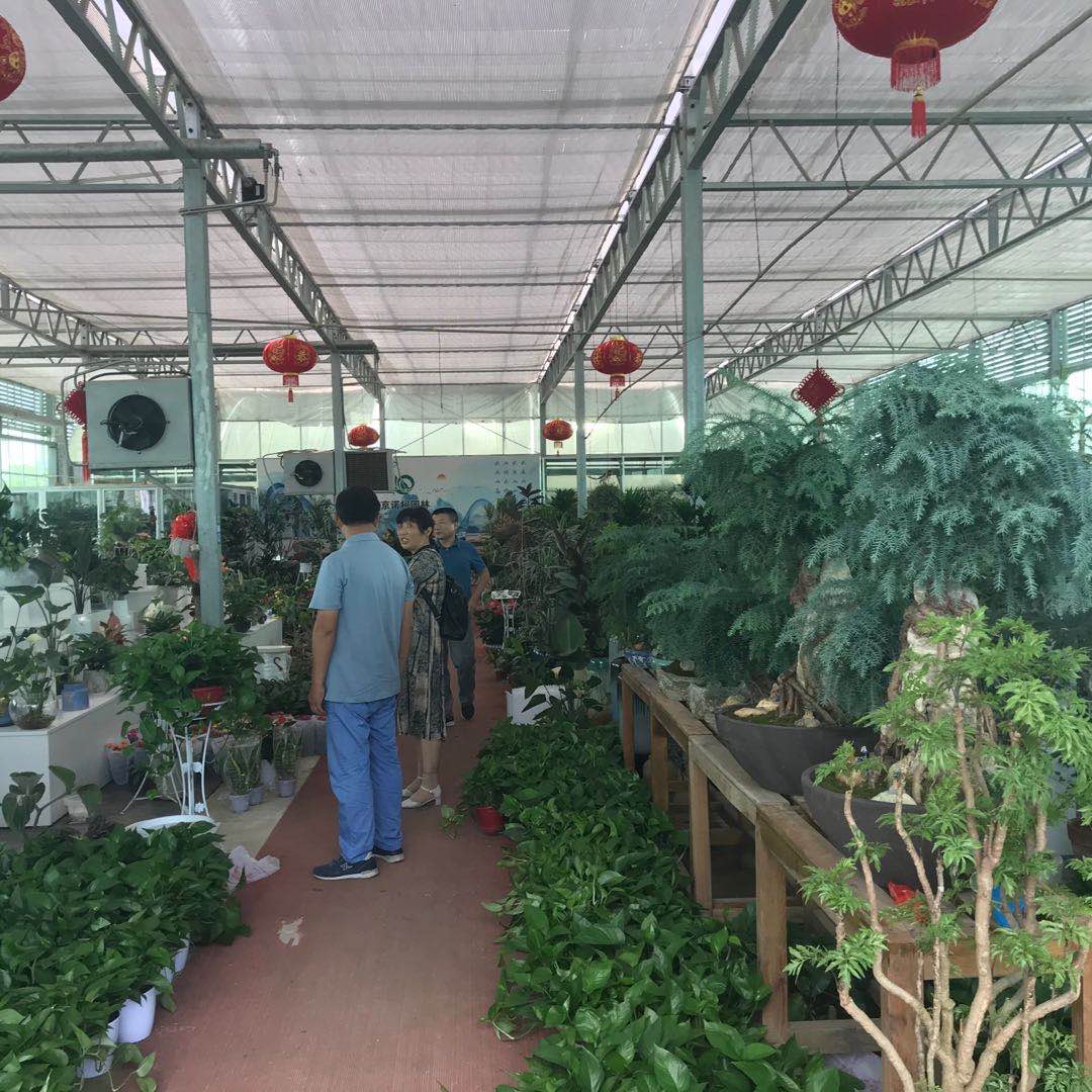 675c2b13418d6e645ad13234527fb12.jpg 675c2b13418d6e645ad13234527fb12.jpg