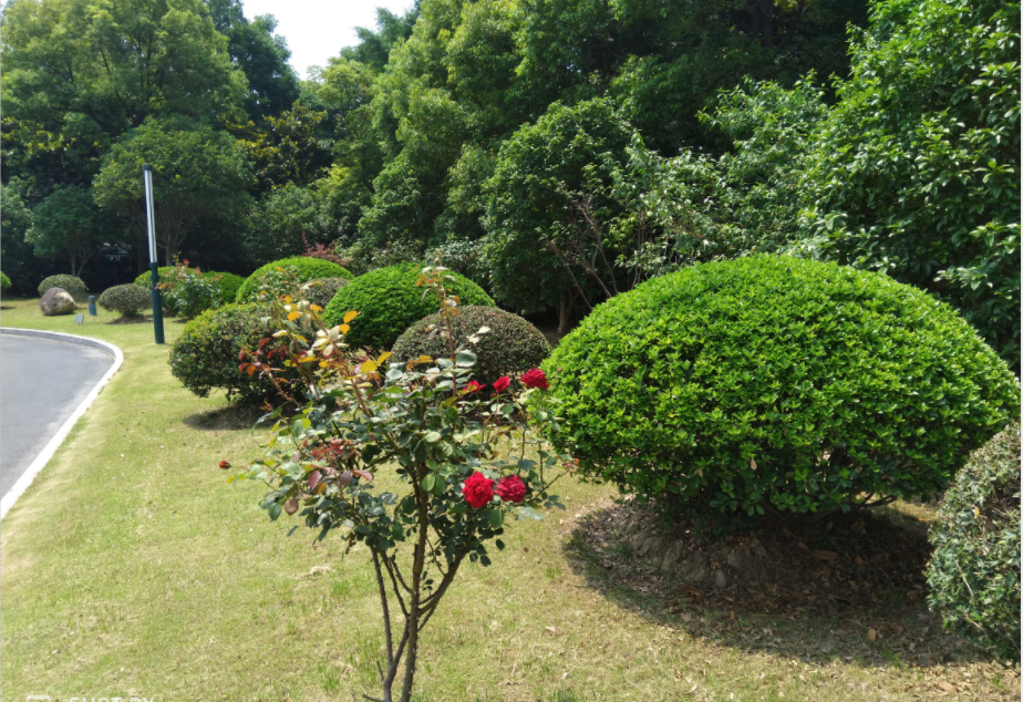 QQ截图20200911131126.png QQ截图20200911131126.png