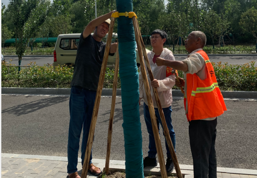 QQ截图20200911131506.png QQ截图20200911131506.png