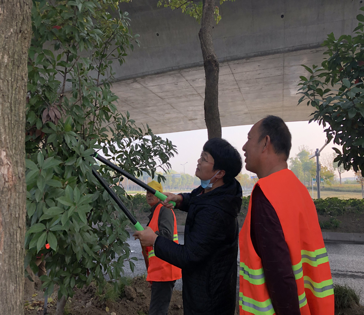 负责人现场指导苗木修剪.jpg 负责人现场指导苗木修剪.jpg