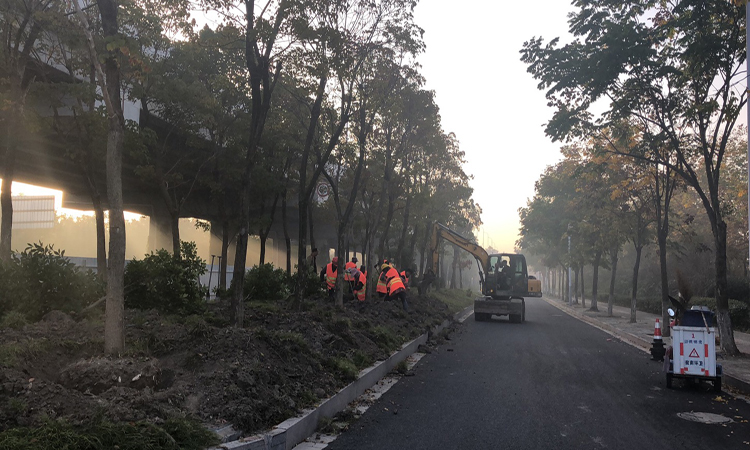 清晨施工现场.jpg 清晨施工现场.jpg