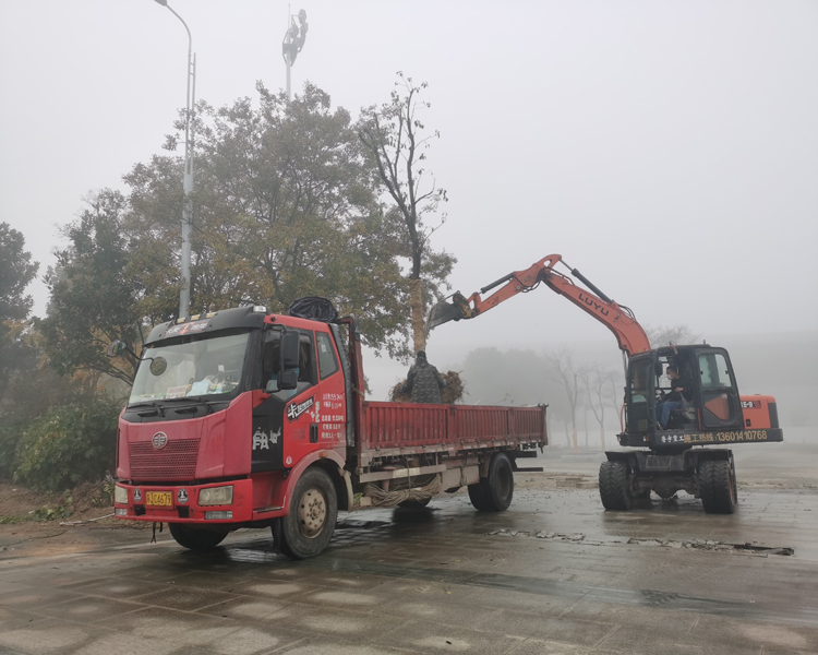 清晨施工.jpg 清晨施工.jpg