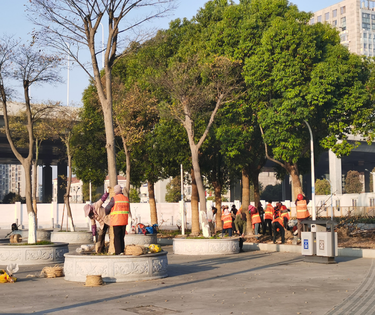 工人施工.jpg 工人施工.jpg