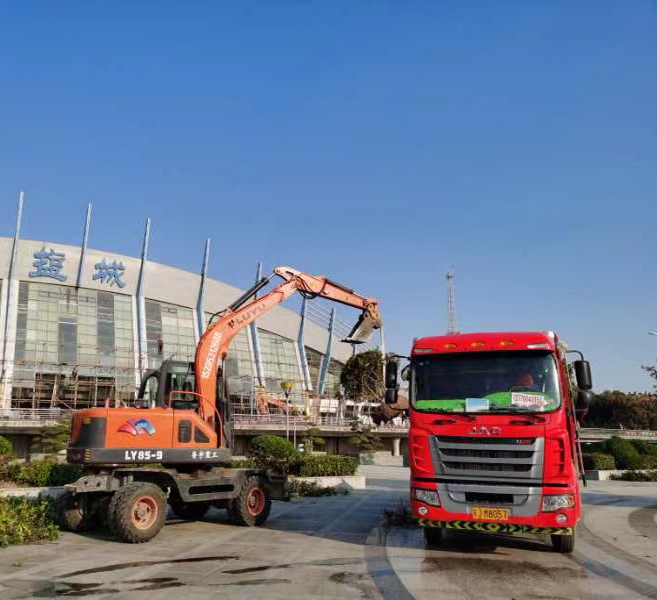 上苗.jpg 上苗.jpg