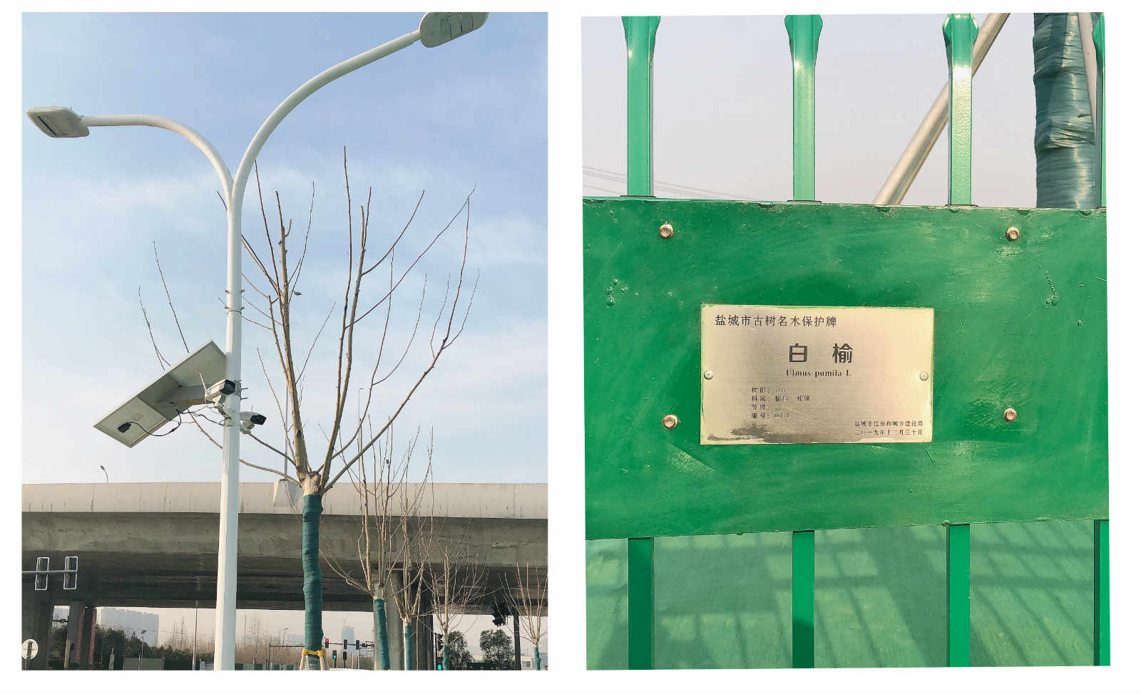 监控和保护牌2.jpg 监控和保护牌2.jpg