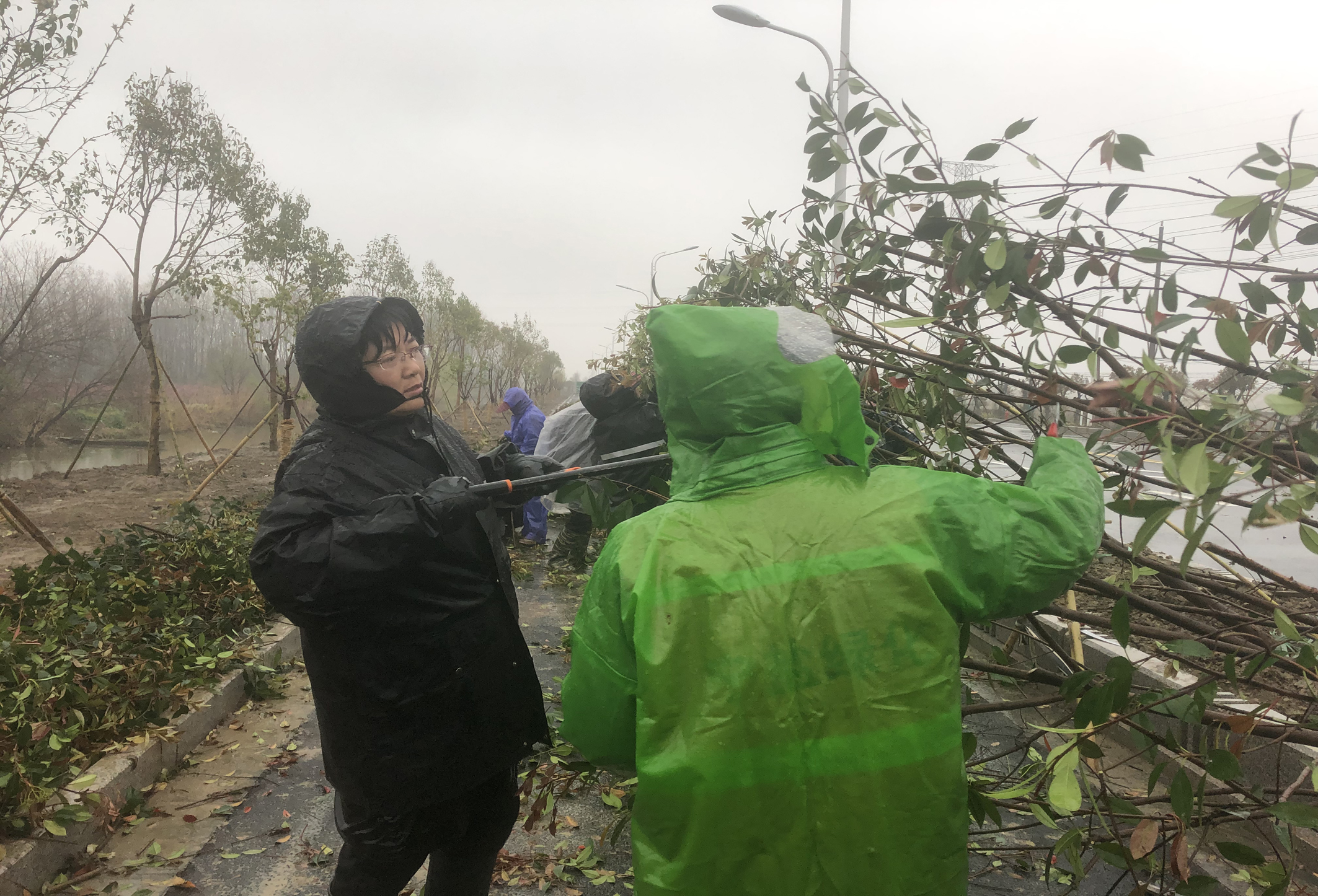 现在指导修剪.jpg 现在指导修剪.jpg