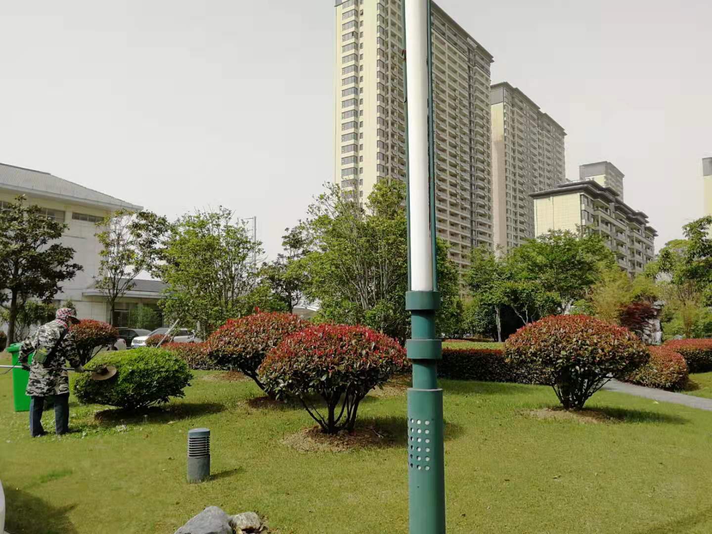 修剪.jpg 修剪.jpg