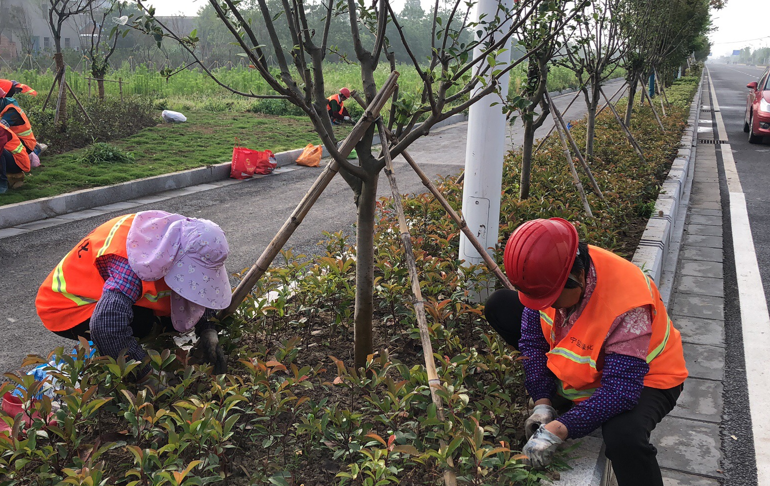 d88faa647604c37fc70ef43ff3f0cf9.png d88faa647604c37fc70ef43ff3f0cf9.png