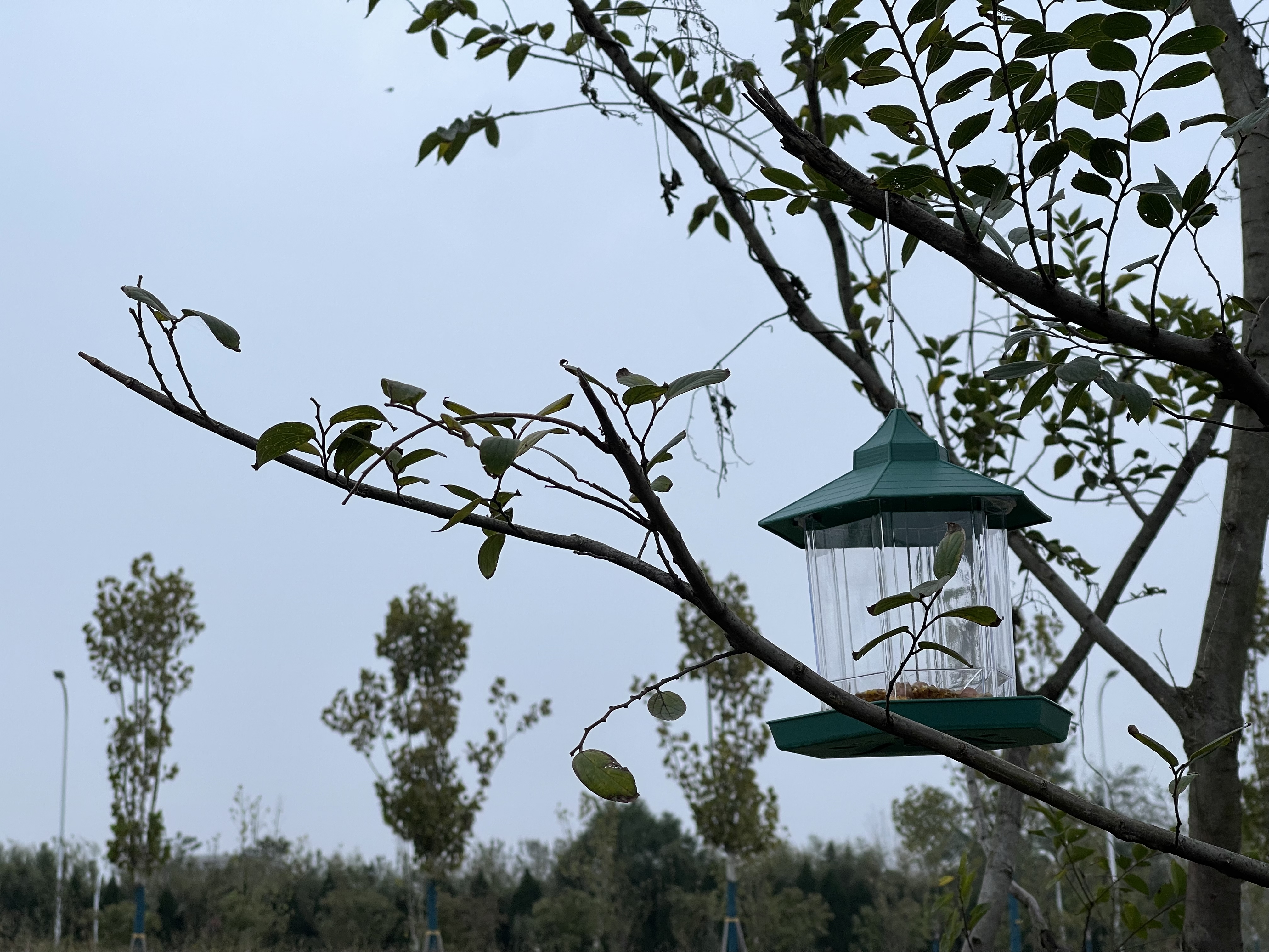 微信图片_20211102171449.jpg 微信图片_20211102171449.jpg