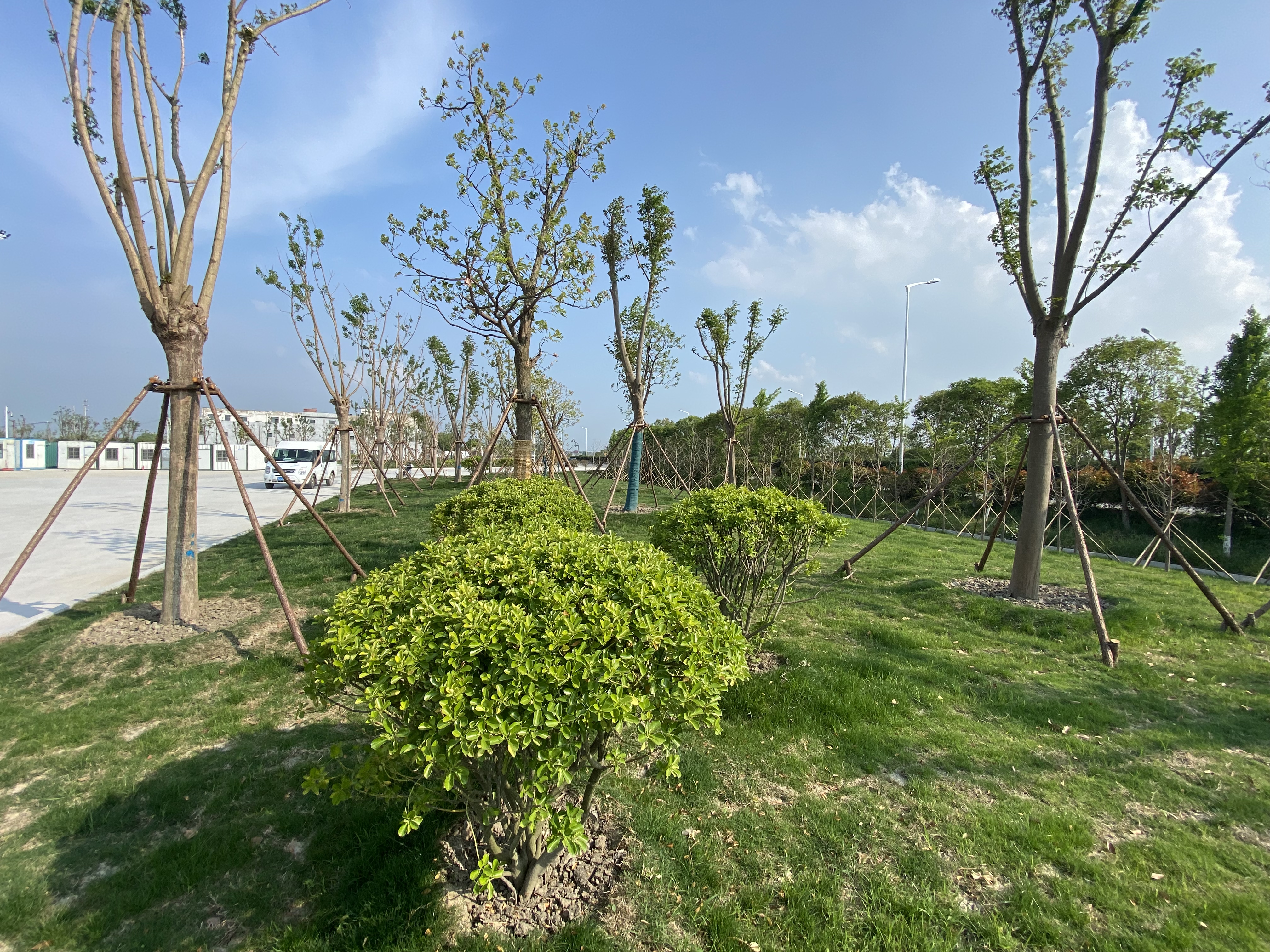 e0170b936614cf5c775e7dc9f93ea32.jpg e0170b936614cf5c775e7dc9f93ea32.jpg