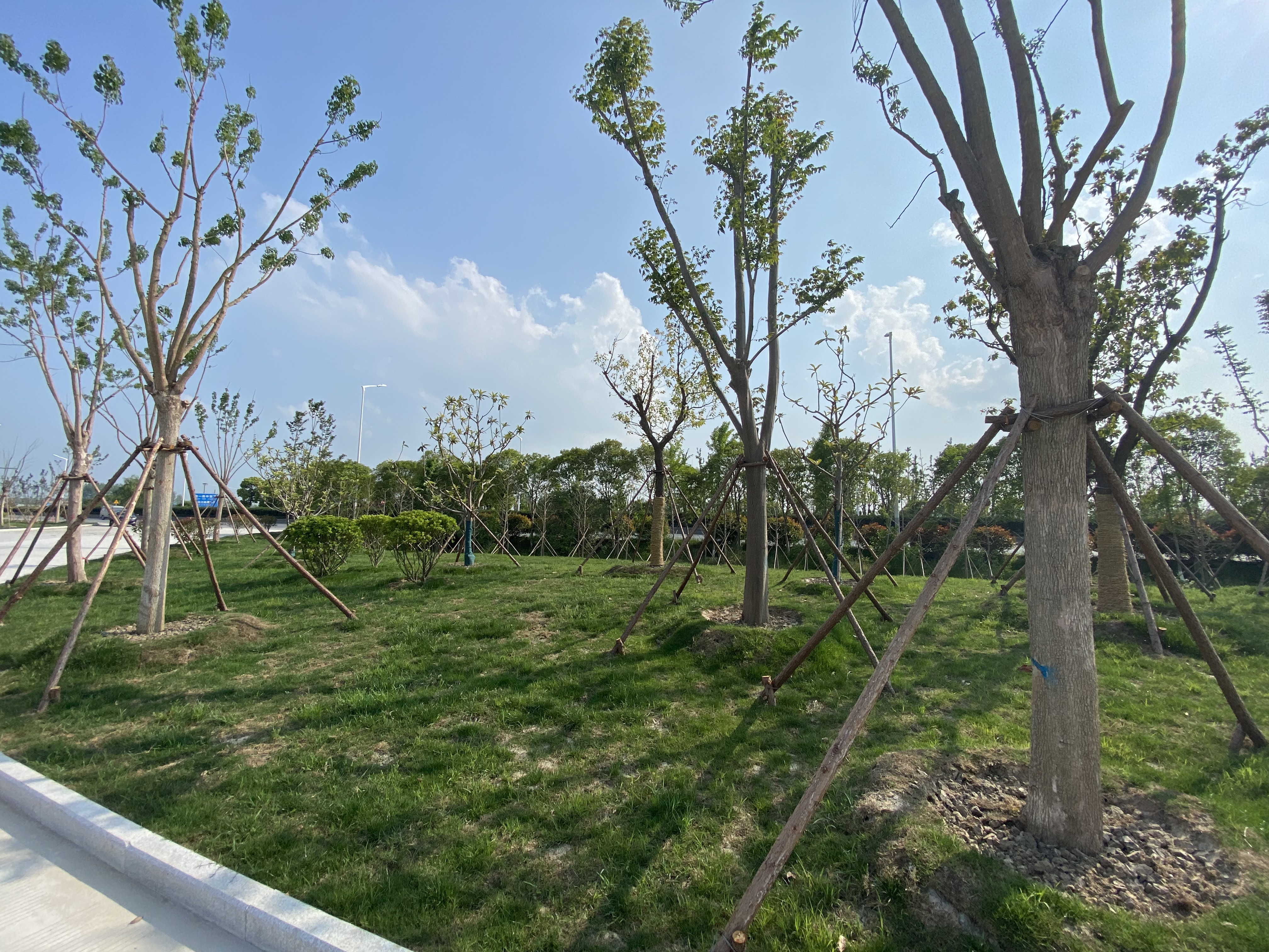 03f9c196c5c8a704777a6de849c2ee8.jpg 03f9c196c5c8a704777a6de849c2ee8.jpg