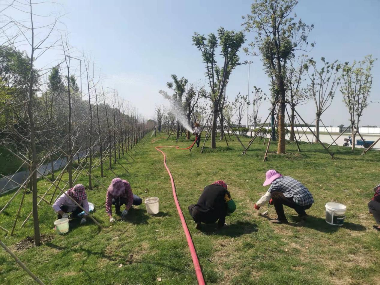 正在上传... 正在上传...