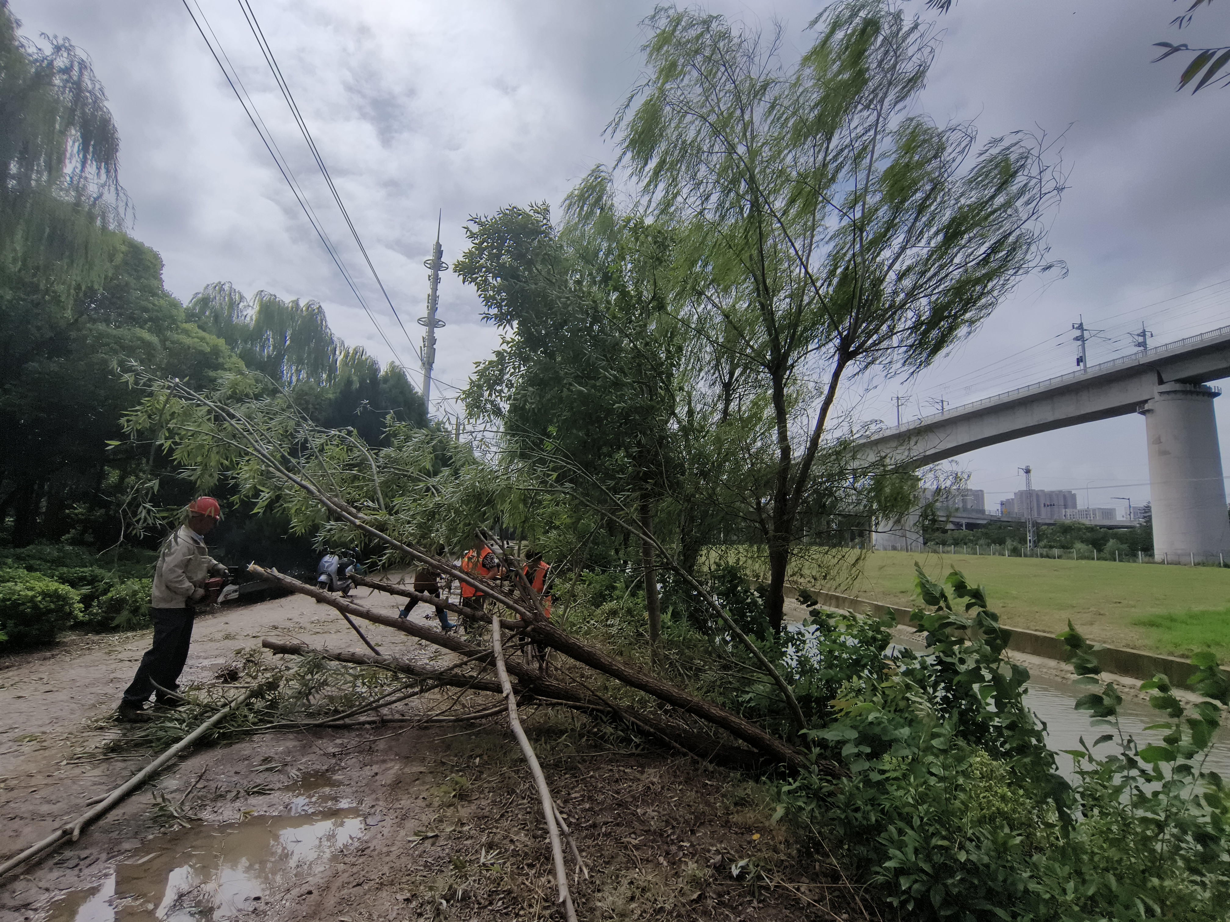 微信图片_20220916153231.jpg 微信图片_20220916153231.jpg