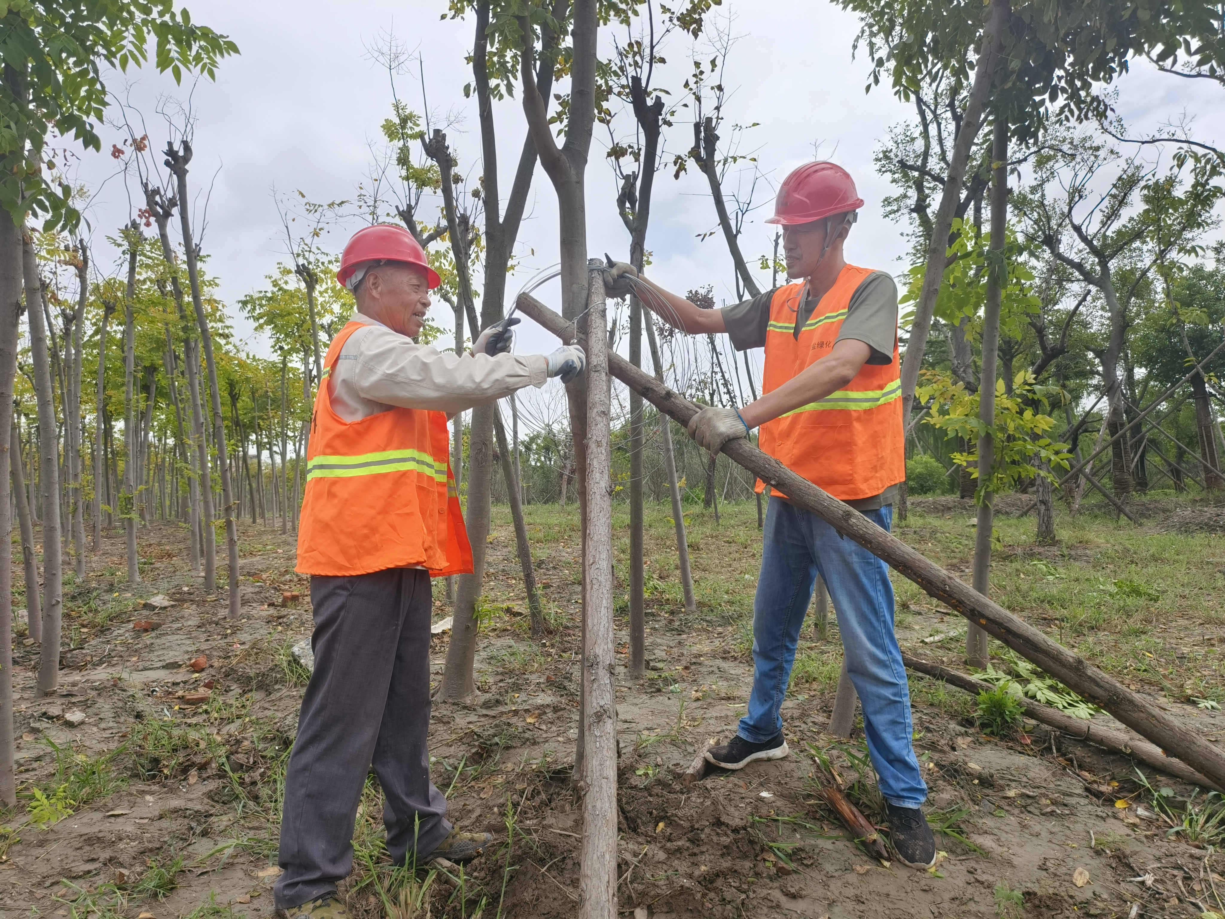 微信图片_20220916153854.jpg 微信图片_20220916153854.jpg