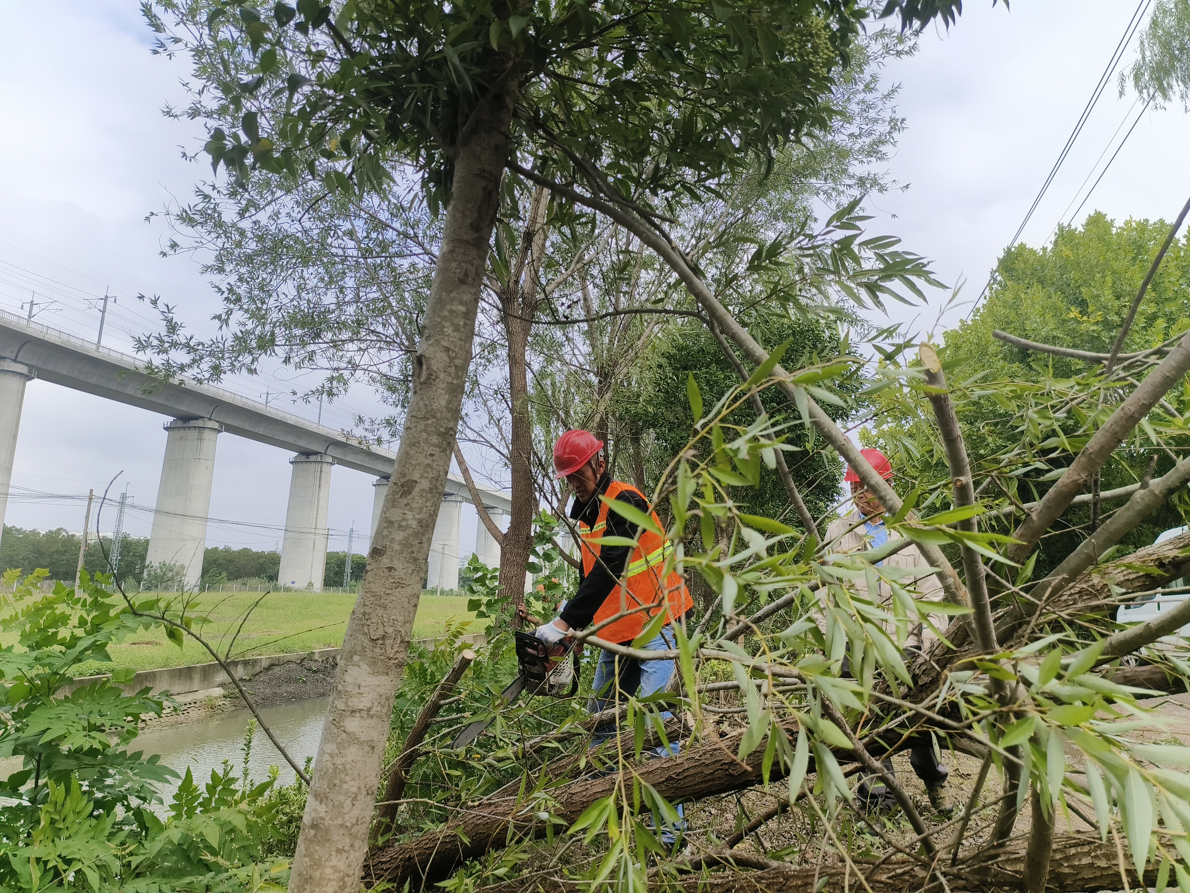 微信图片_20220916161330.jpg 微信图片_20220916161330.jpg