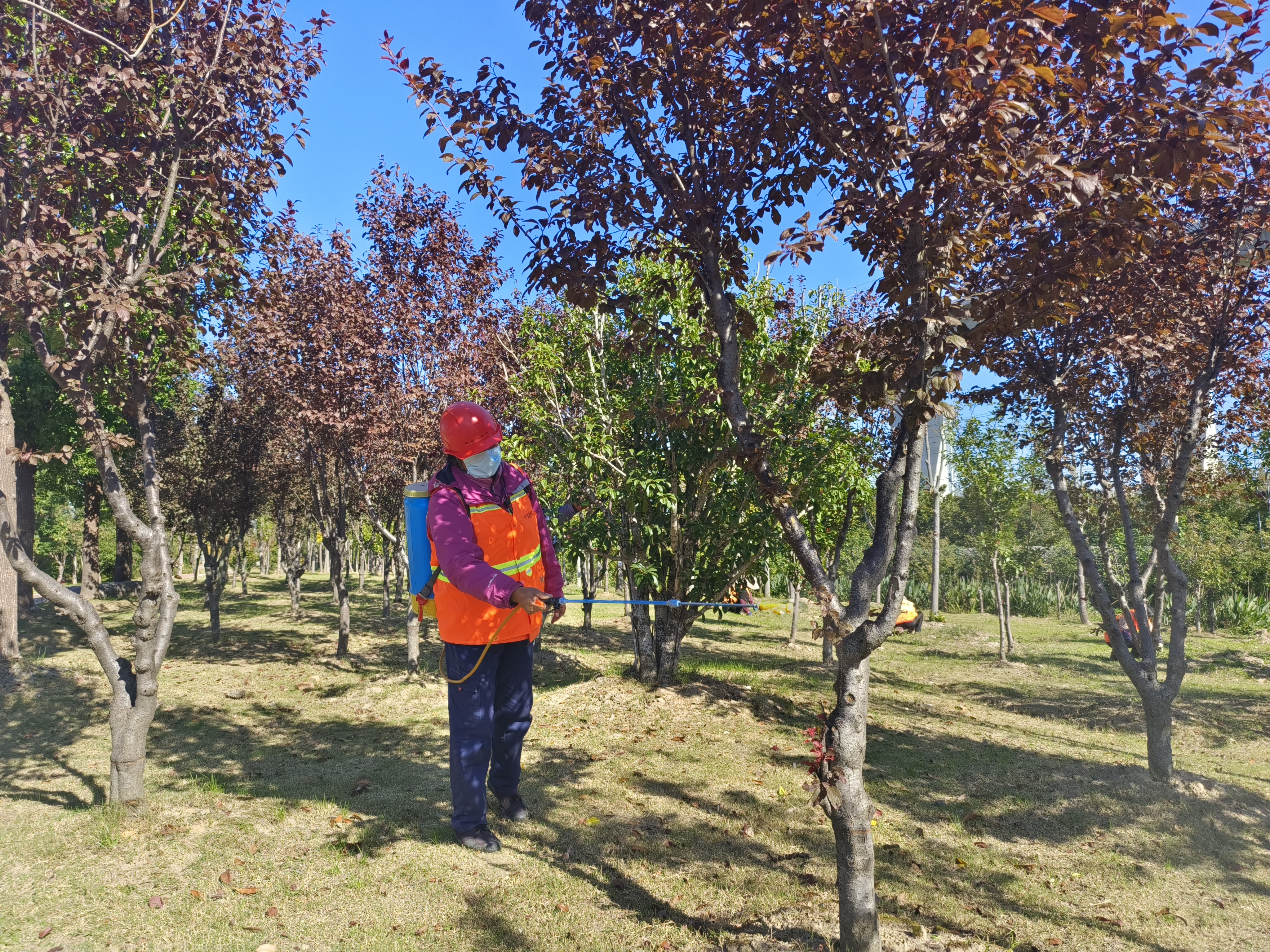 78029c7ca470bb1cf8a2e9ba650b889.jpg 78029c7ca470bb1cf8a2e9ba650b889.jpg