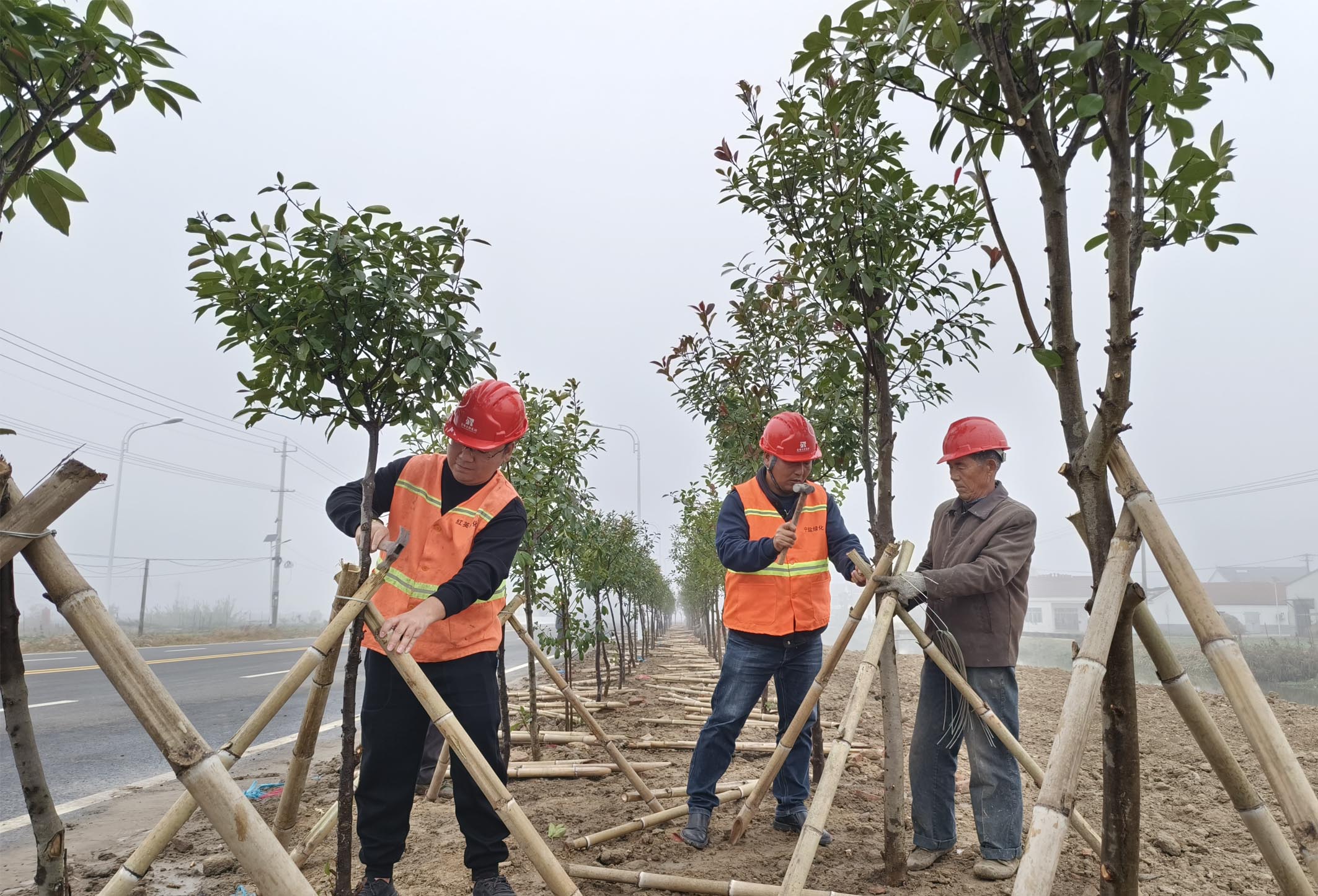 图片3.jpg 图片3.jpg