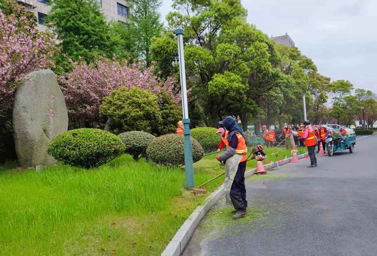 修剪.jpg 修剪.jpg