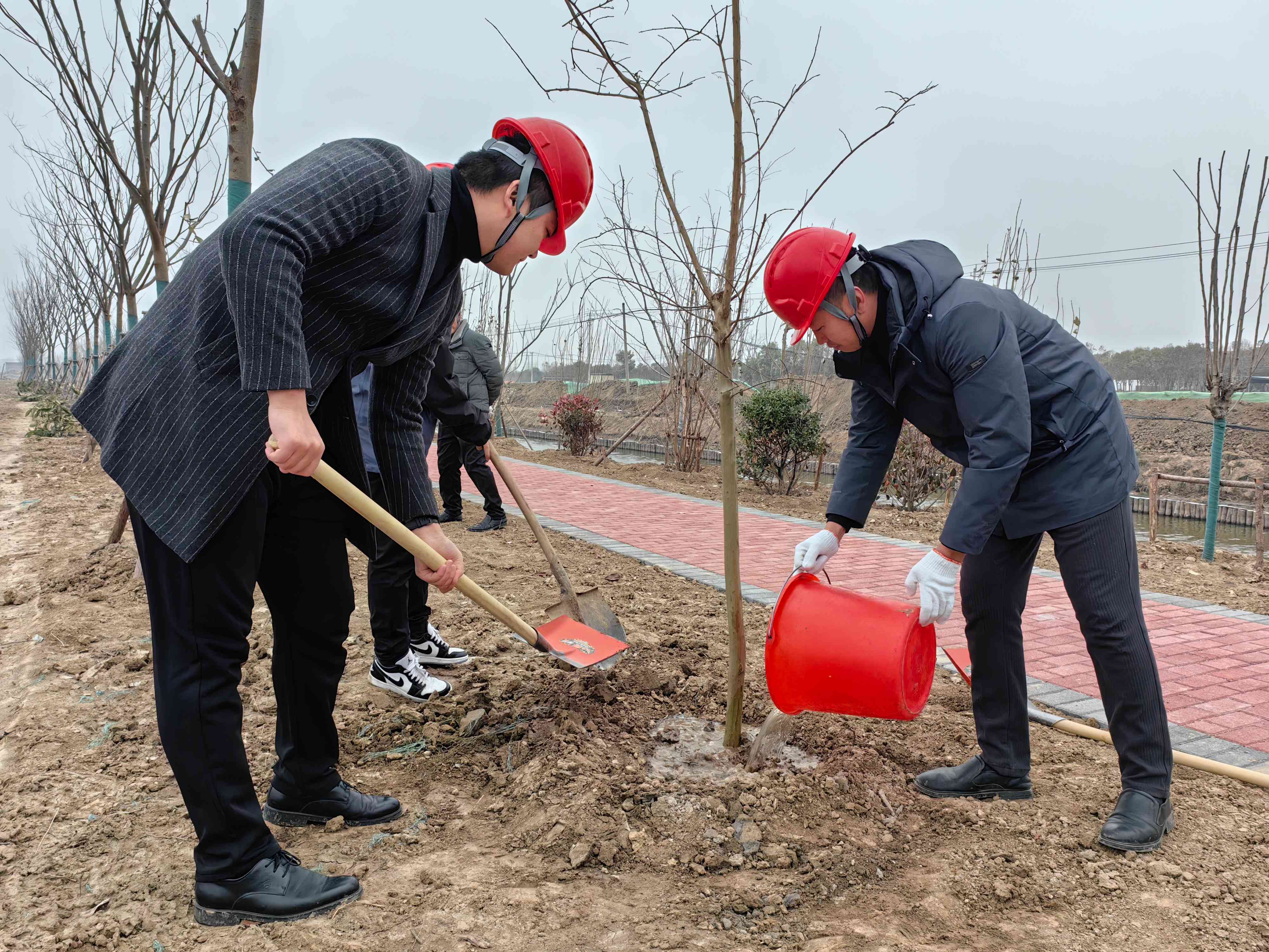 微信图片_20240312150811(1).jpg 微信图片_20240312150811(1).jpg