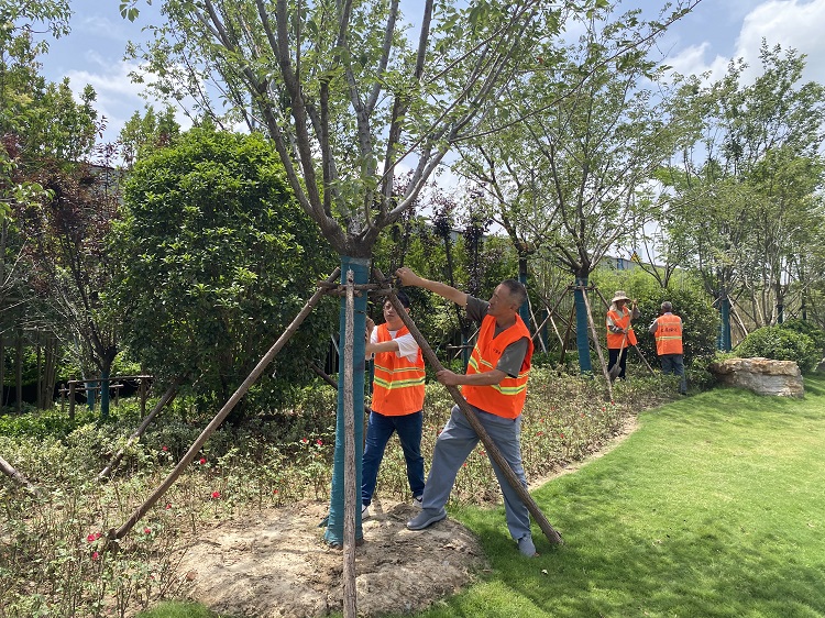 ed4d27e0e1d59c7d6a75063cdb54962.jpg ed4d27e0e1d59c7d6a75063cdb54962.jpg