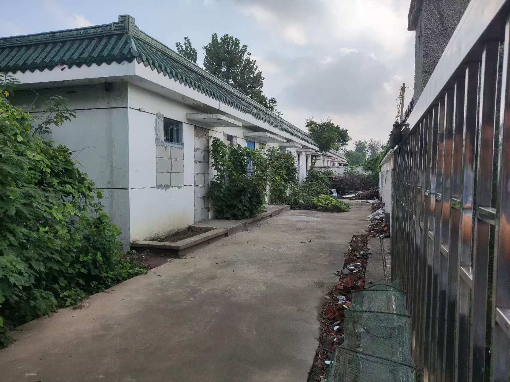 西侧小院1.jpg 西侧小院1.jpg