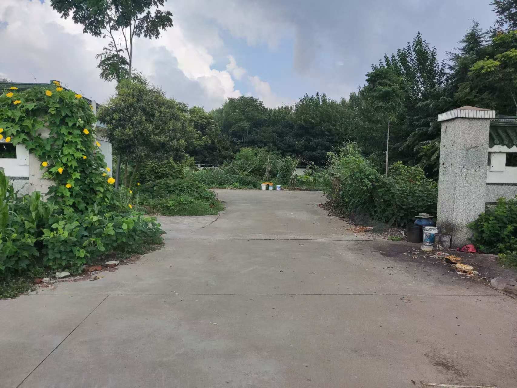 东侧小院1.jpg 东侧小院1.jpg