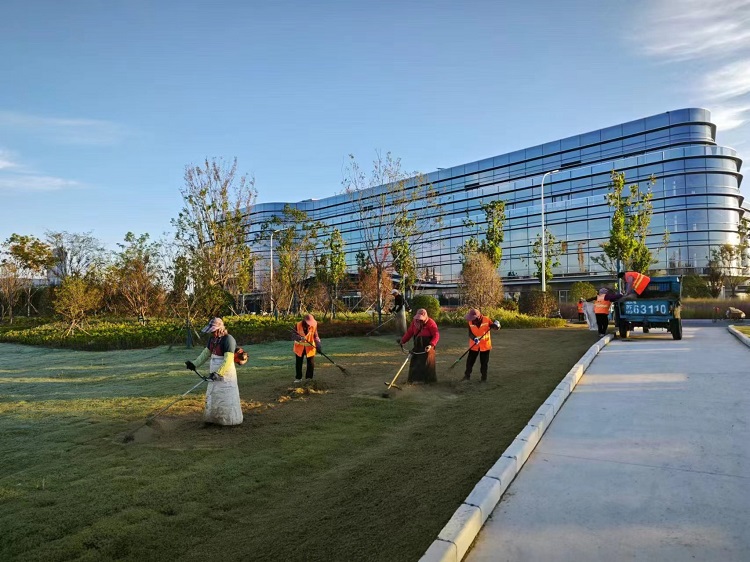 微信图片_20241025094526.jpg 微信图片_20241025094526.jpg