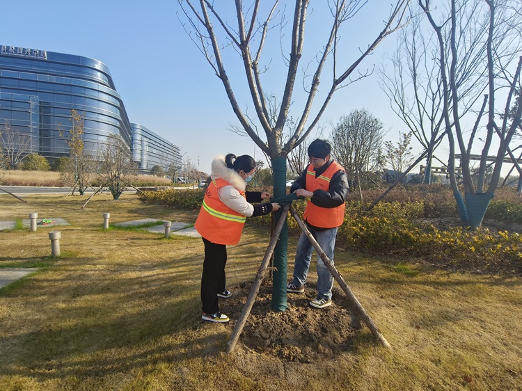 微信图片_20241225102934.jpg 微信图片_20241225102934.jpg