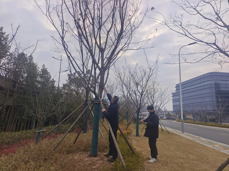 f8e94aad3ce03a39a73660992d082c6.jpg f8e94aad3ce03a39a73660992d082c6.jpg