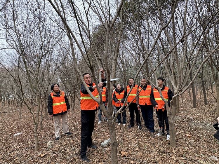 微信图片_20250225160432.jpg 微信图片_20250225160432.jpg