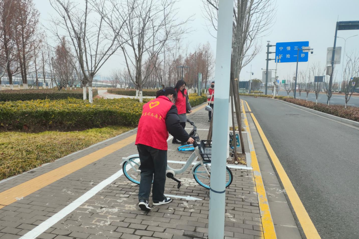 1741161385069.jpg 1741161385069.jpg