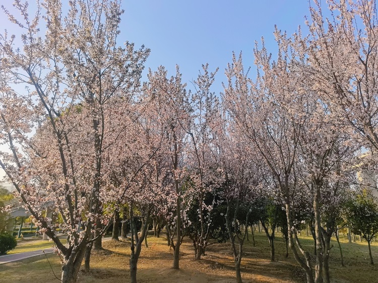 917e94467602ff1e7333ff4a17ff65b.jpg 917e94467602ff1e7333ff4a17ff65b.jpg