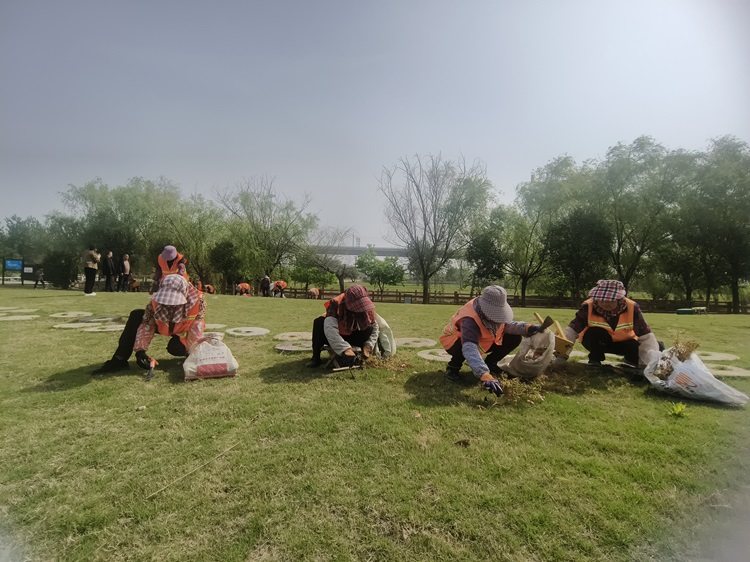 b241ae67d1f718839c15d368bcfa208.jpg b241ae67d1f718839c15d368bcfa208.jpg