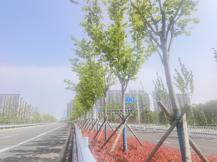 89e93196d46c2563870a12ebed19672.jpg 89e93196d46c2563870a12ebed19672.jpg