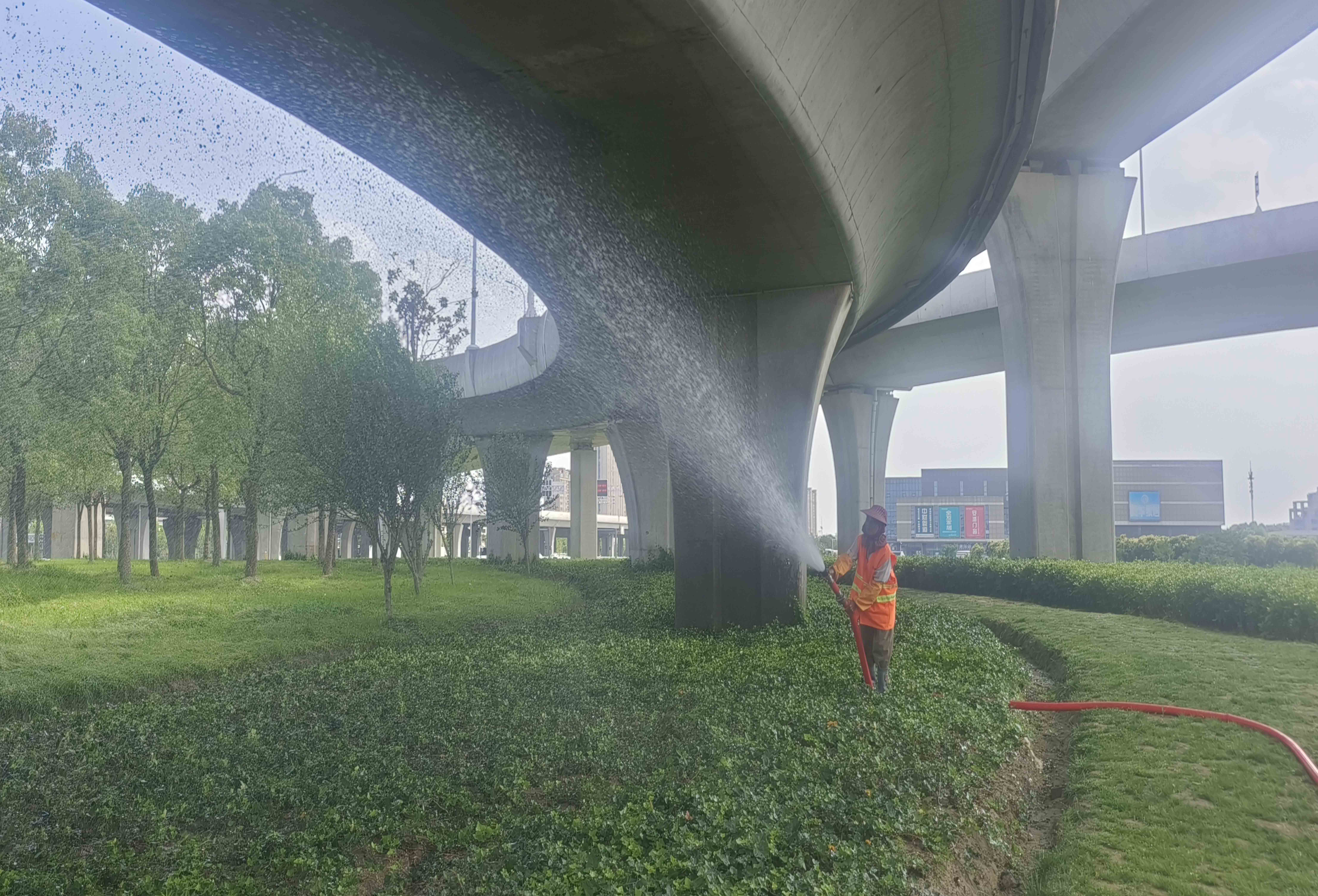 浇水.jpg 浇水.jpg