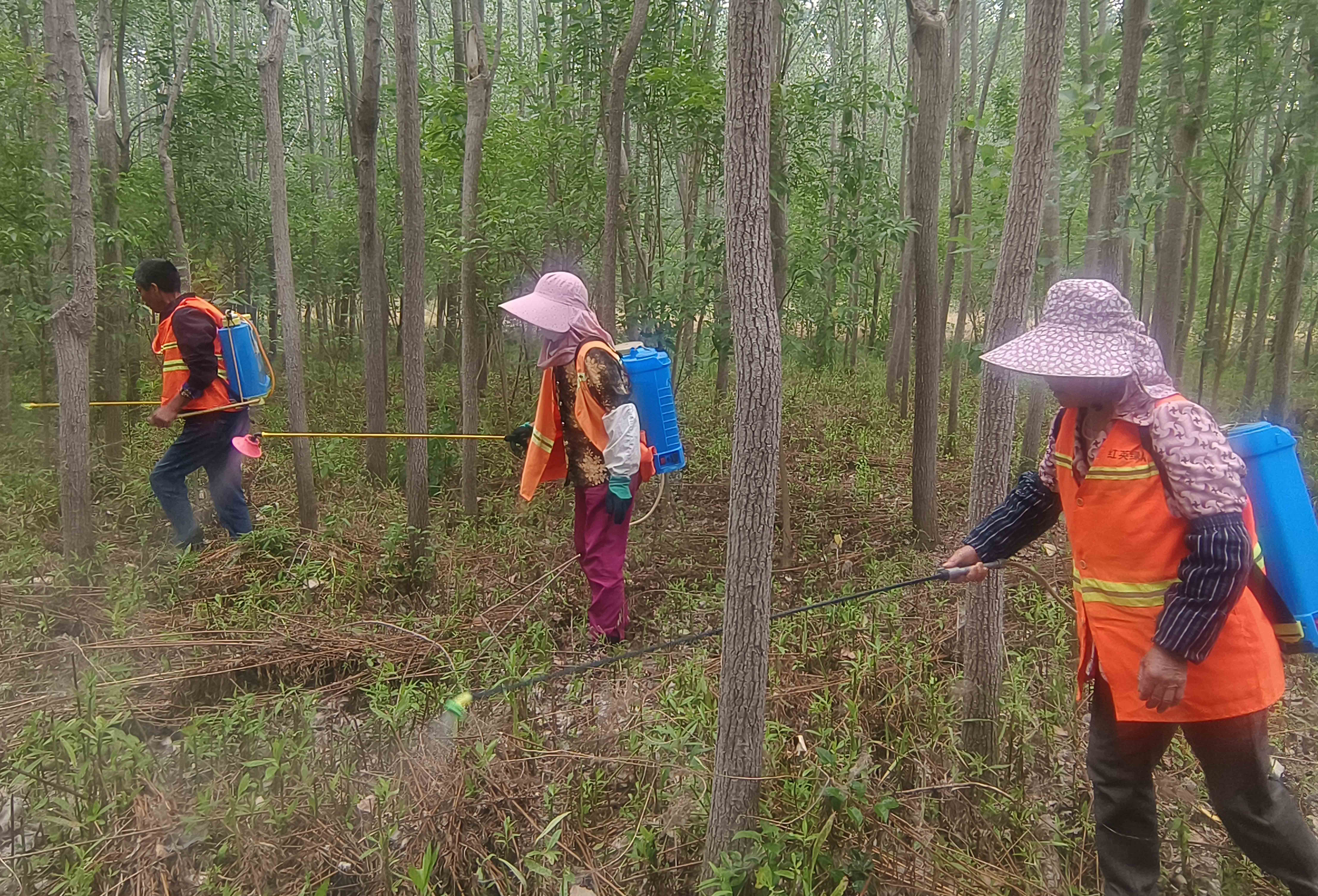 打药.jpg 打药.jpg