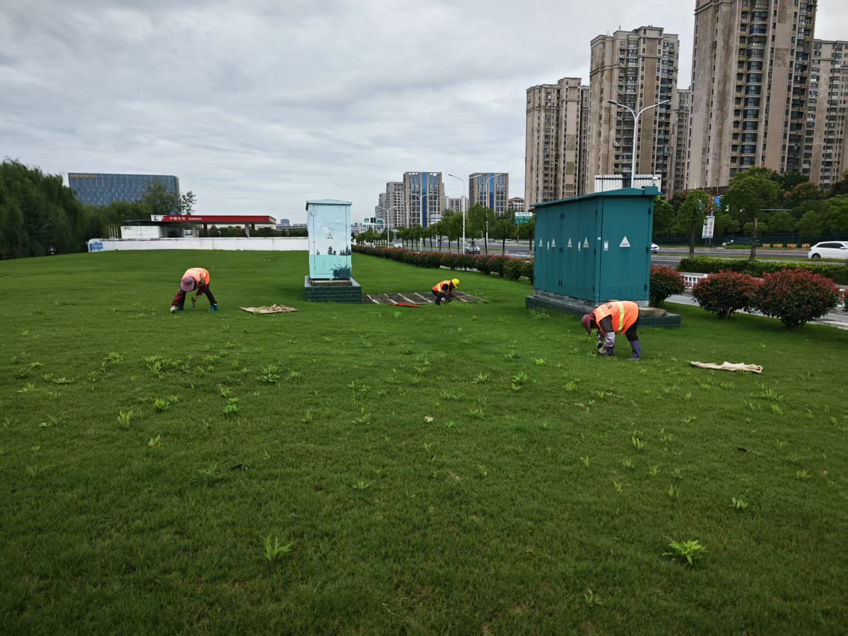 888888.jpg 888888.jpg