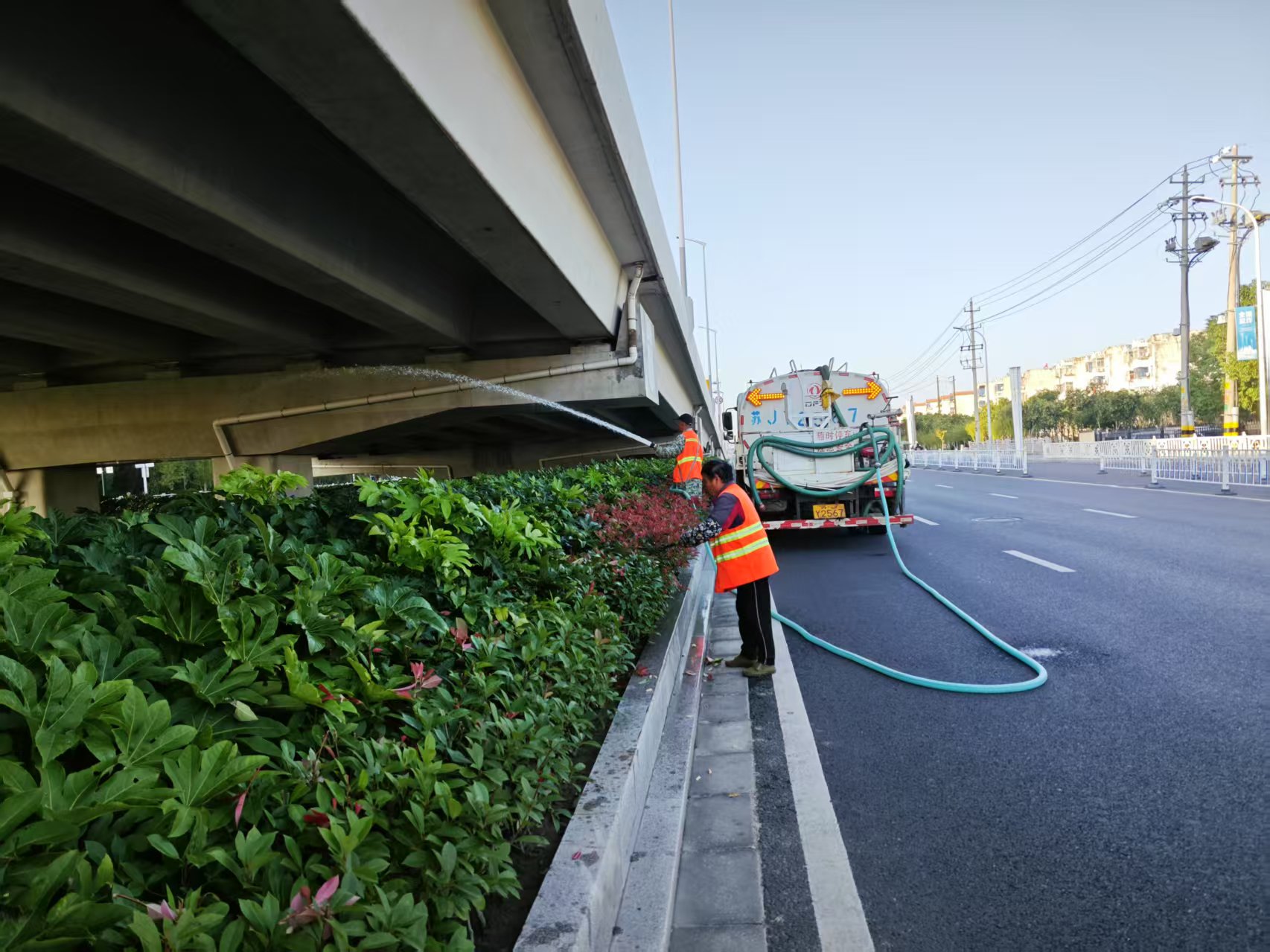 55555555555.jpg 55555555555.jpg